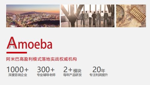 比佛利管理咨詢 推動阿米巴模式落地,企業(yè)贏在管理